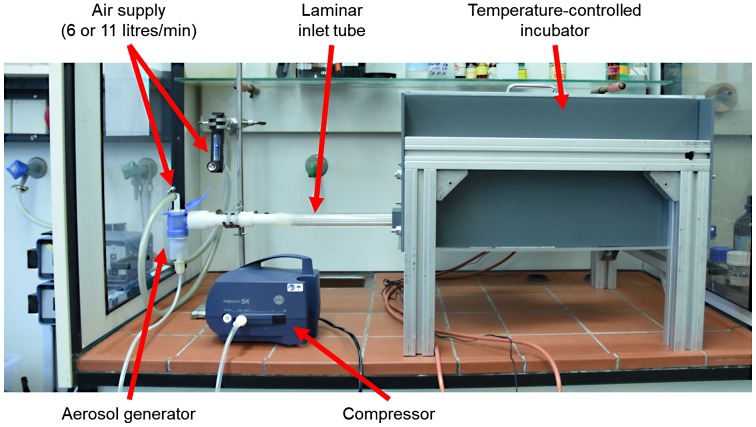 Figure 5.