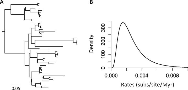 Fig. 4.