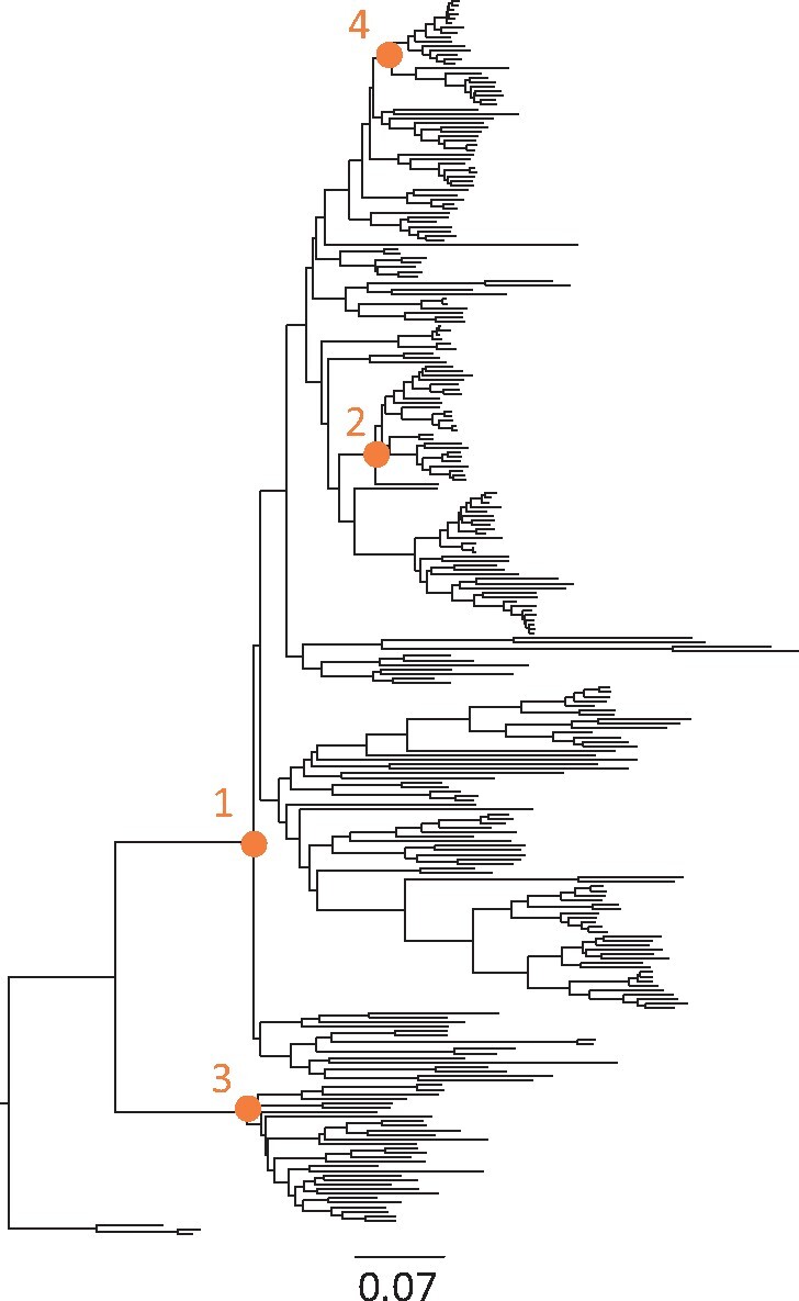 Fig. 3.