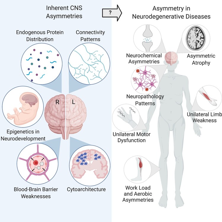 Graphical Abstract