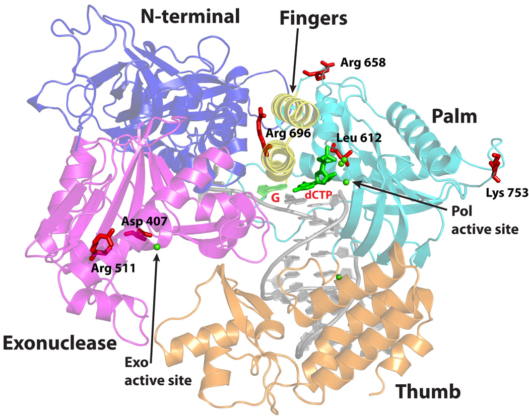 Figure 6