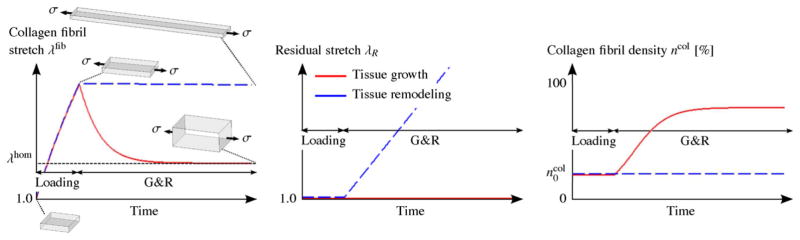 Fig. 12