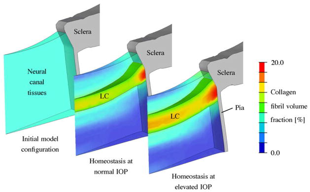 Fig. 8