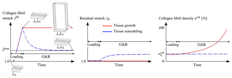 Fig. 13