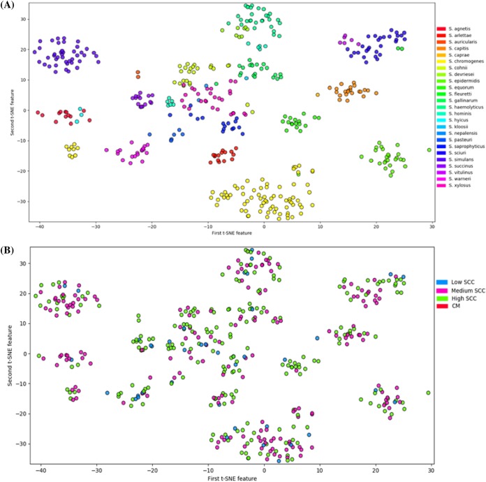 FIG 11