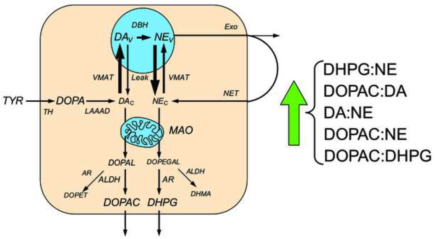 Figure 6: