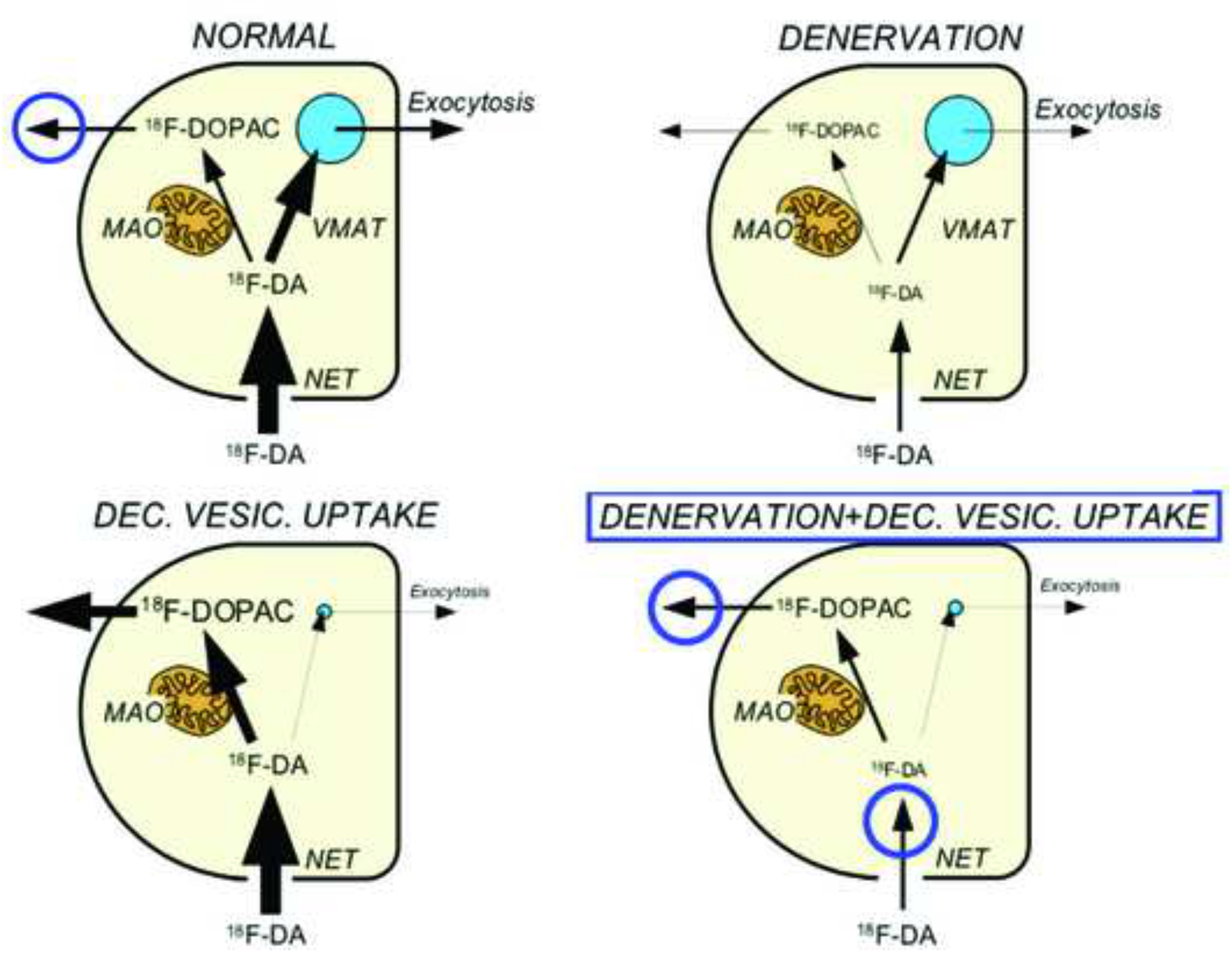 Figure 3: