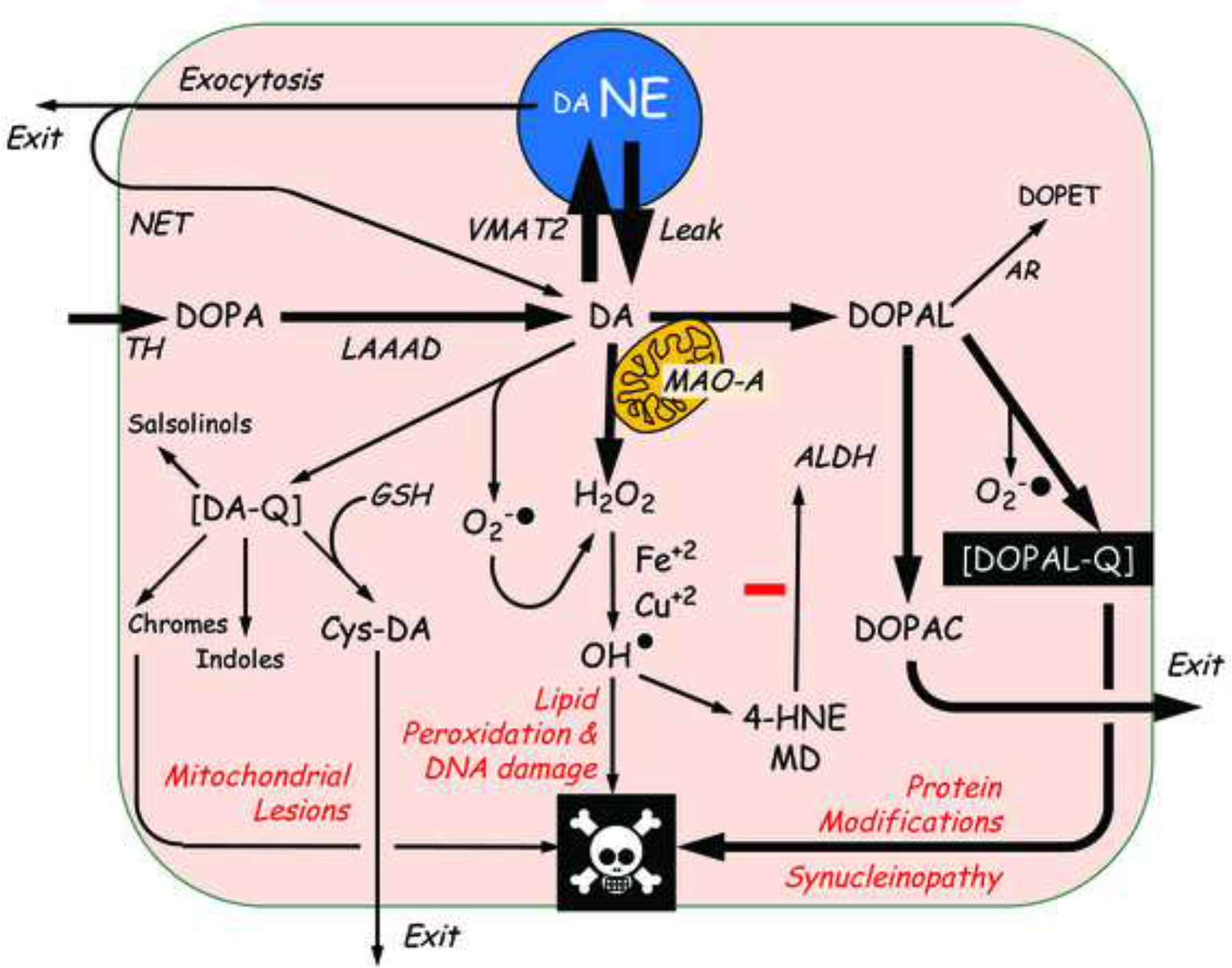 Figure 11: