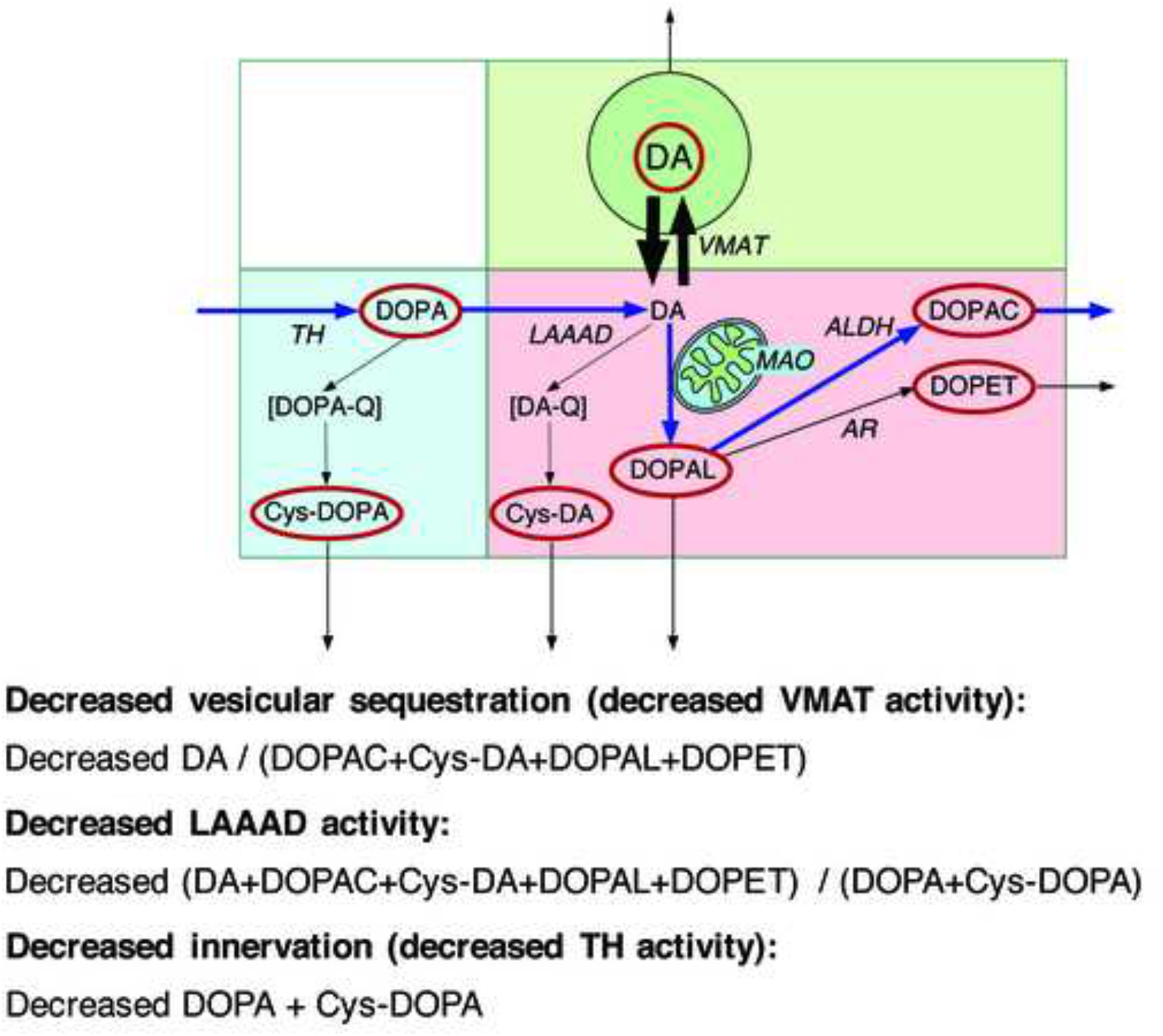 Figure 9: