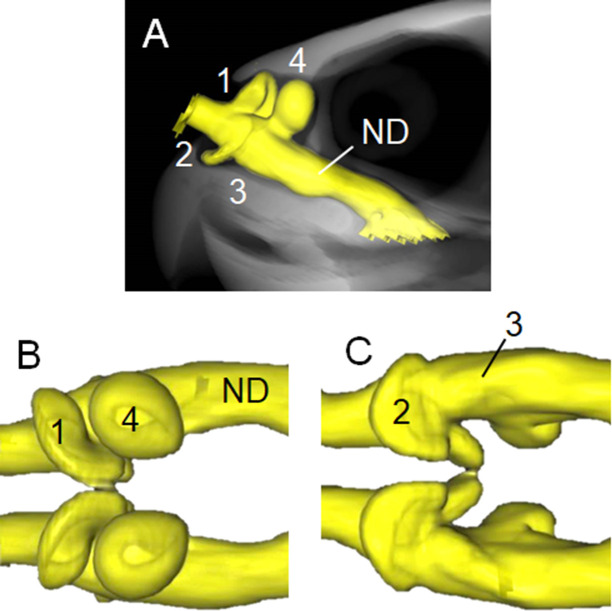 Fig 3