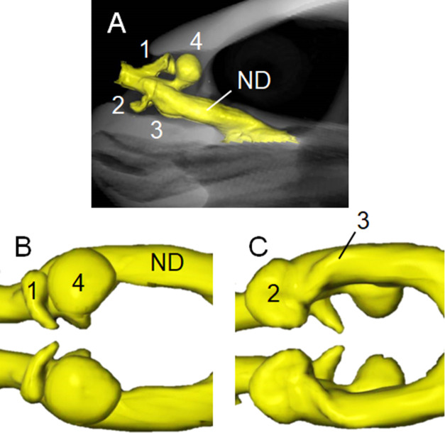 Fig 2