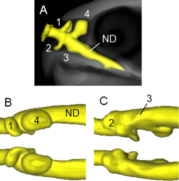 Fig 4