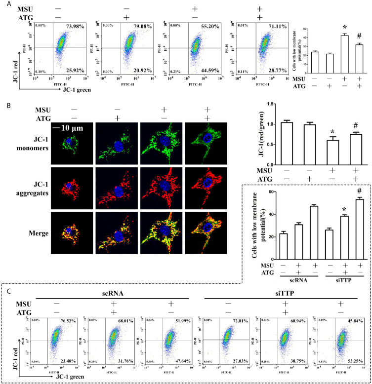 Figure 6