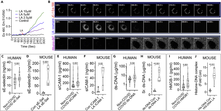 Figure 4