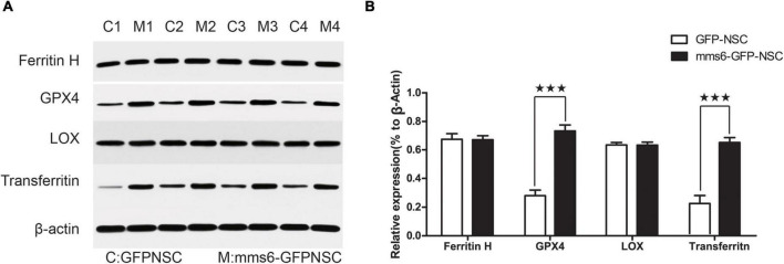 FIGURE 4