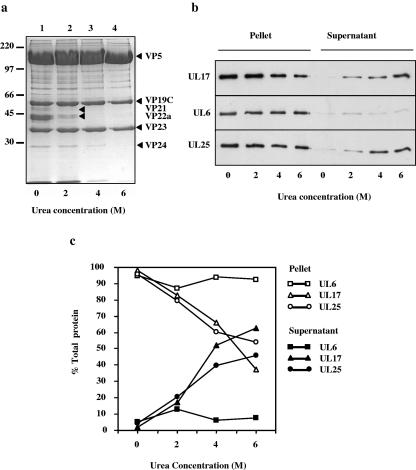 FIG. 8.