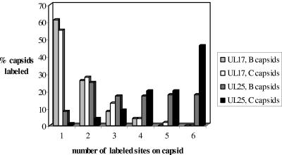 FIG. 7.