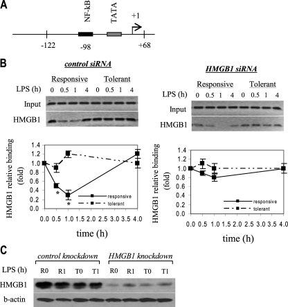 FIG. 1.