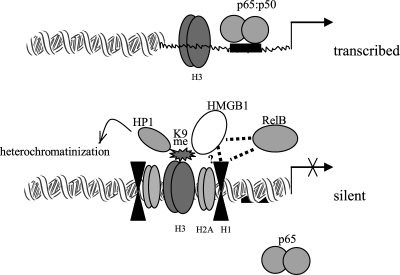 FIG. 12.