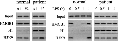 FIG. 11.