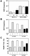 FIG. 6.