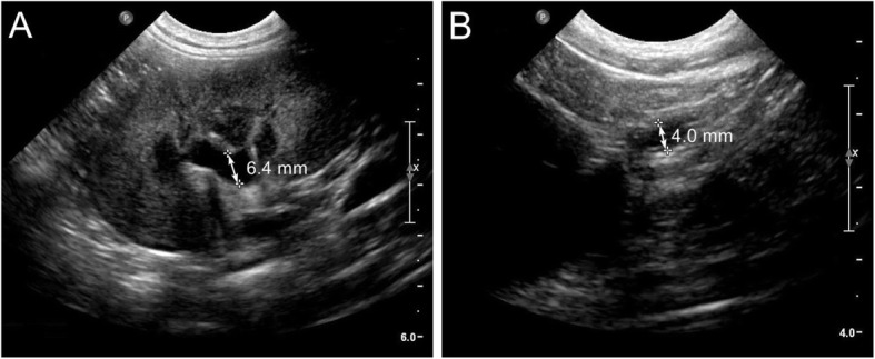 Fig. 5