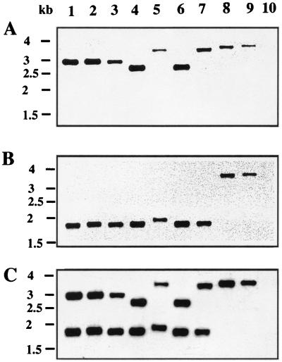 FIG. 5