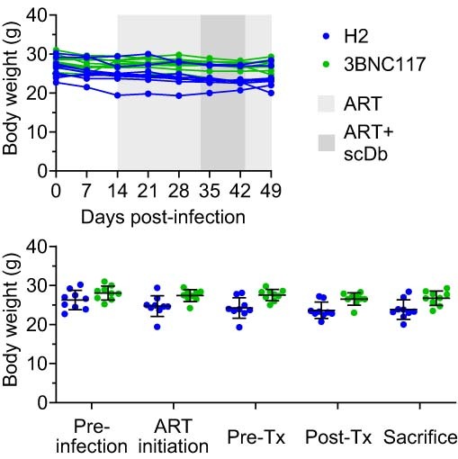 Extended Data Fig. 7