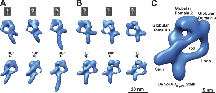 Figure 5.