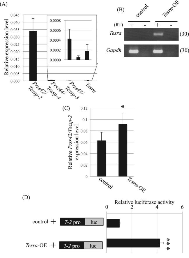 Figure 6.