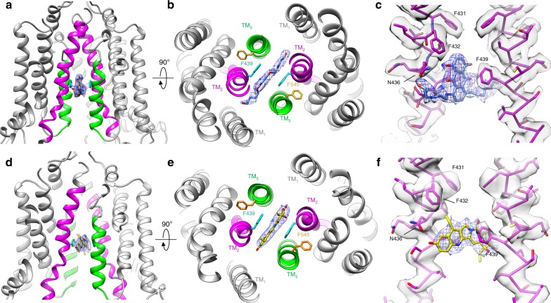 Fig. 4