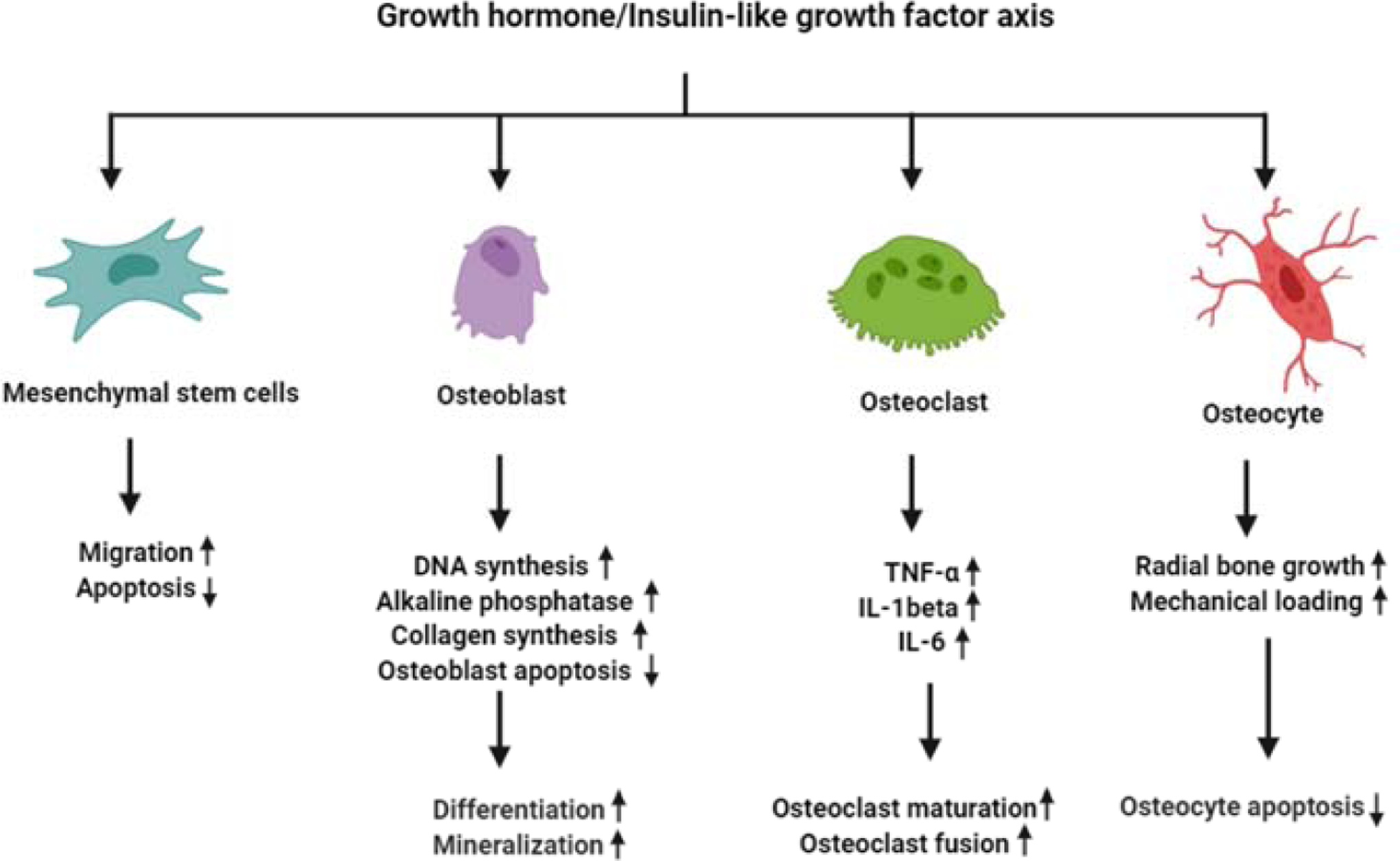 Figure 2: