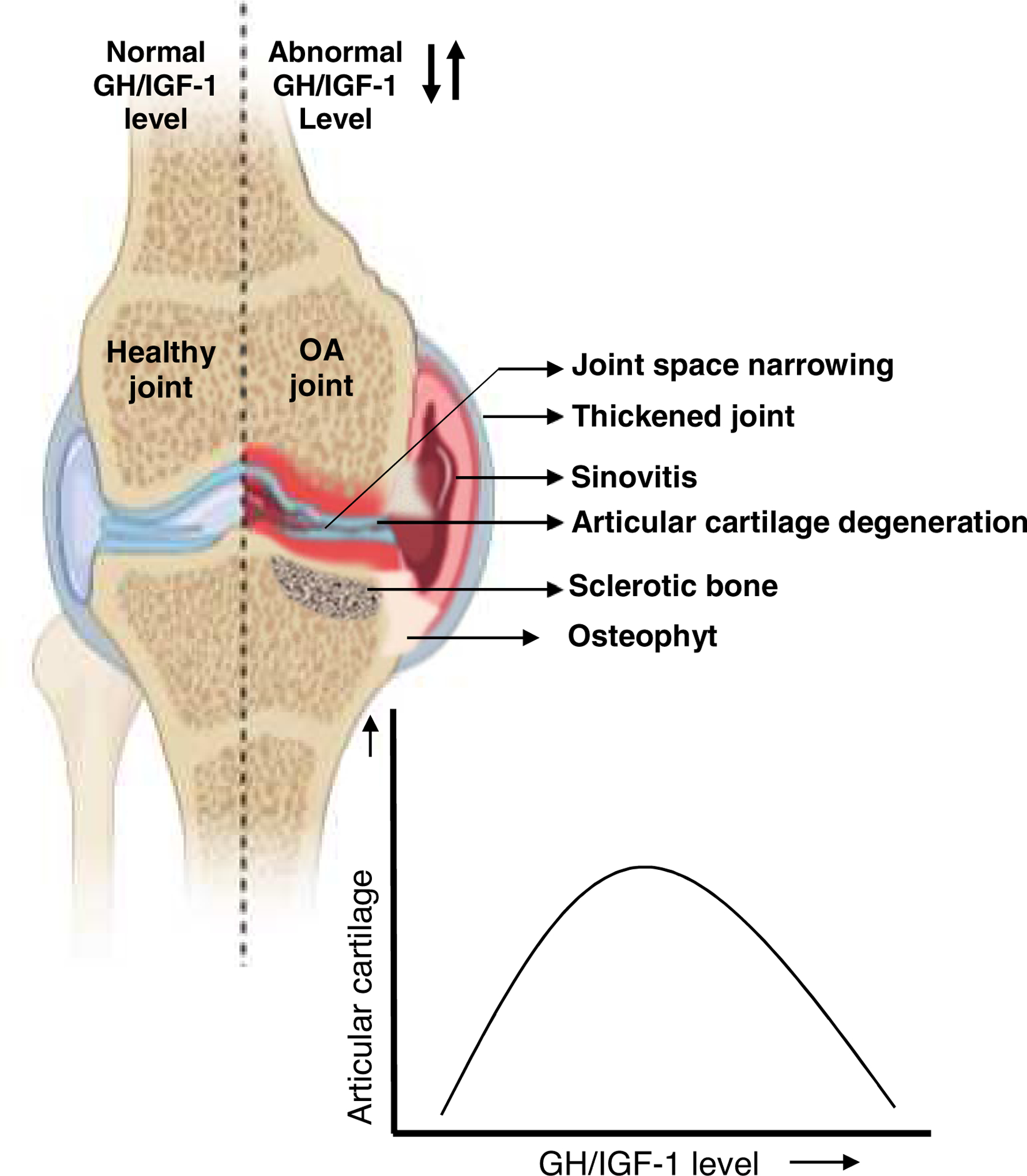 Figure 4: