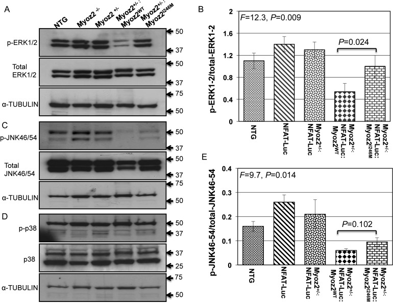 Figure 6