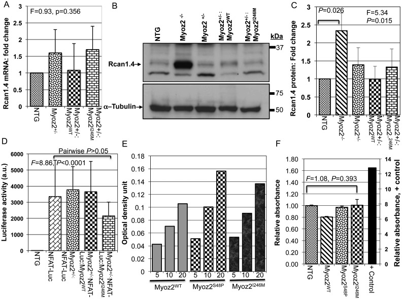 Figure 5