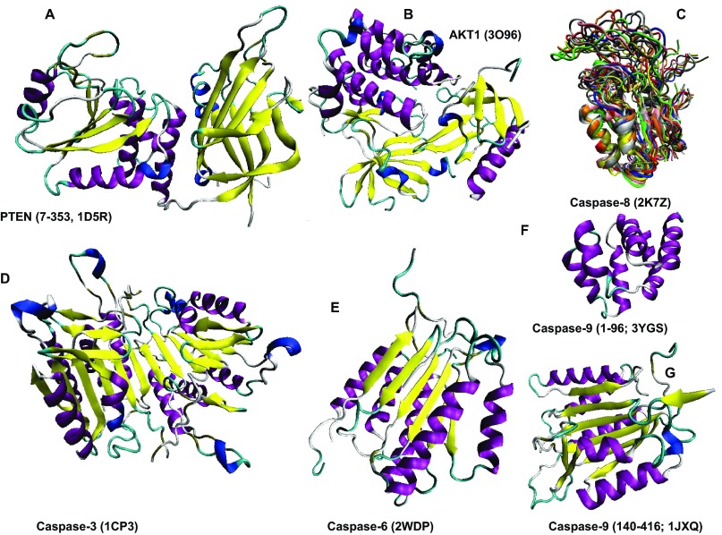 Figure 11. 