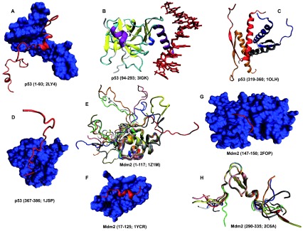 Figure 14. 