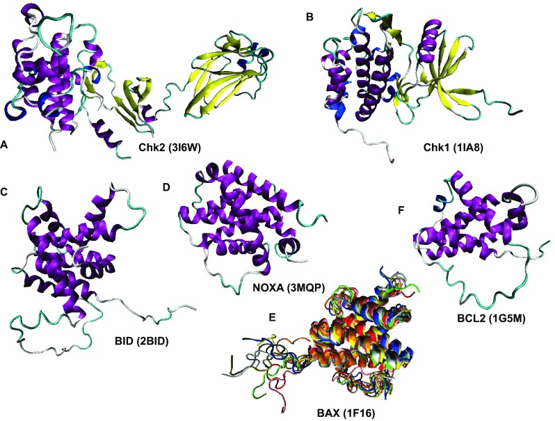 Figure 12. 