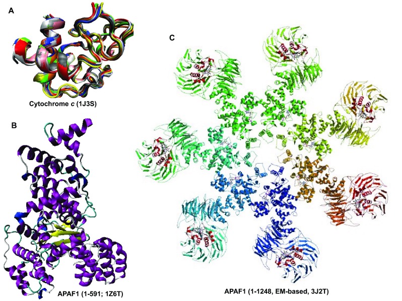 Figure 13. 