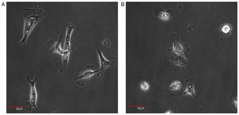 Figure 6.