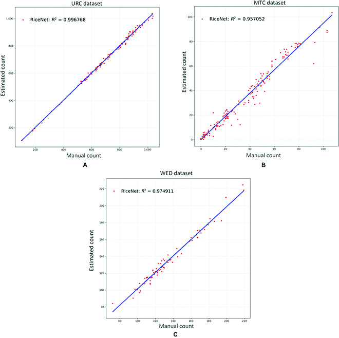 Fig. 10.