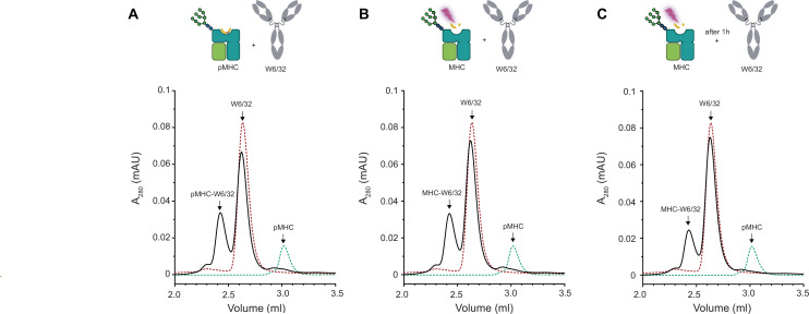 Figure 3—figure supplement 2.