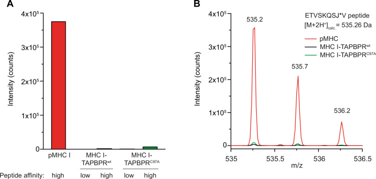 Figure 4—figure supplement 1.