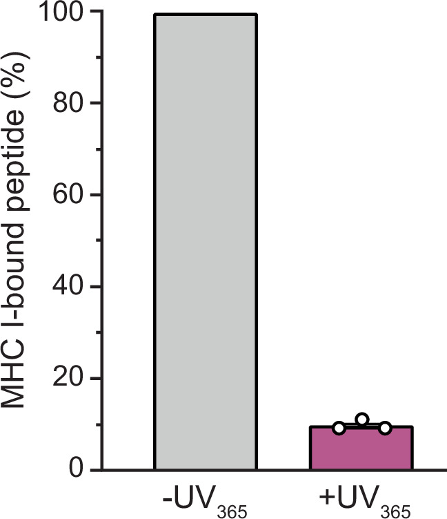 Figure 3—figure supplement 1.