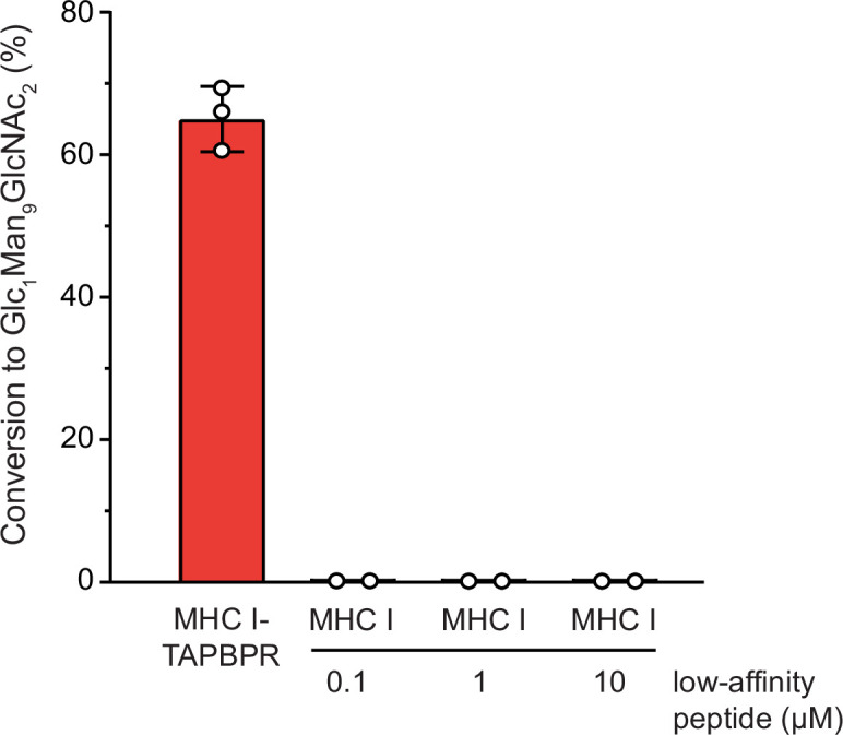 Figure 3—figure supplement 3.