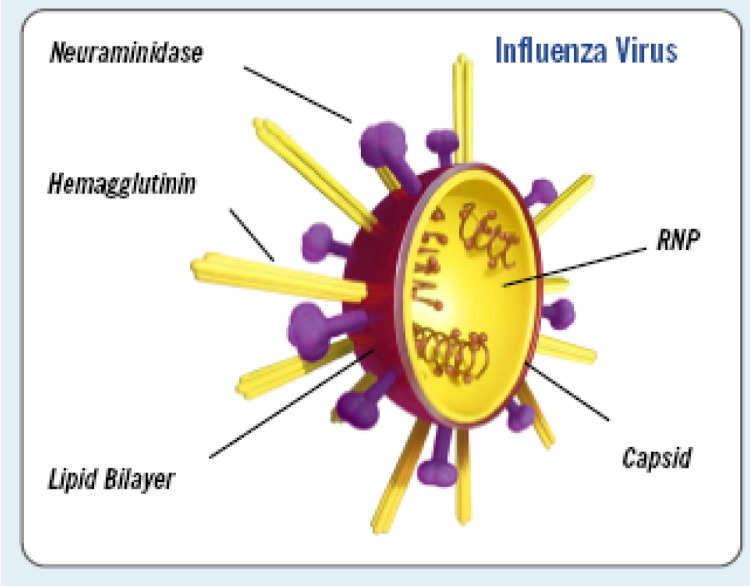 FIG 4