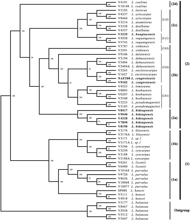 Figure 2.