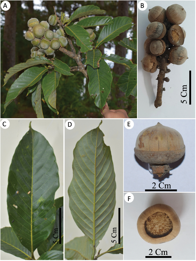 Figure 4.