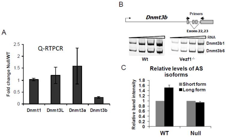 Fig.3