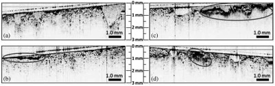 Fig. 10